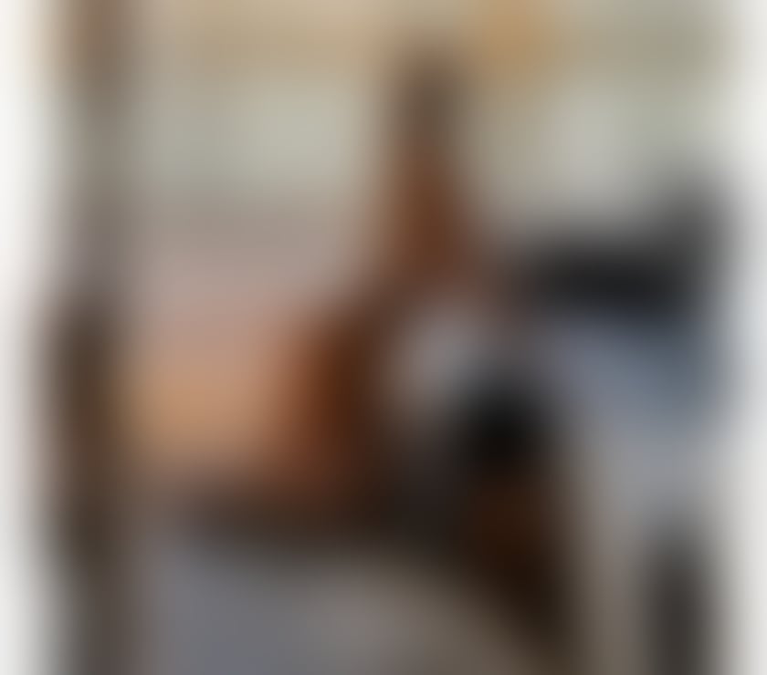 Escorts Merseyside Liverpool - Photos for GABY BRAZILIAN PARTY 🥳