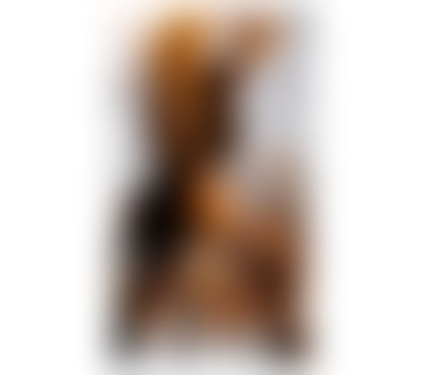 Escorts Merseyside Liverpool - Photos for ANNITA BRAZILIAN PARTY 🥳