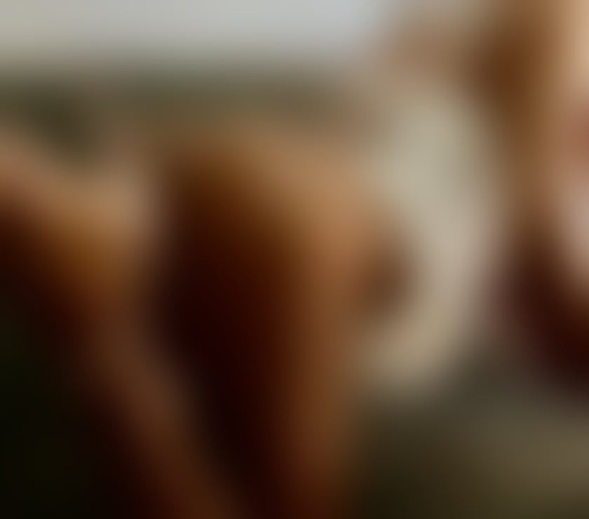 Trans Escorts Greater Manchester Manchester - Photos for Versatile active BCC