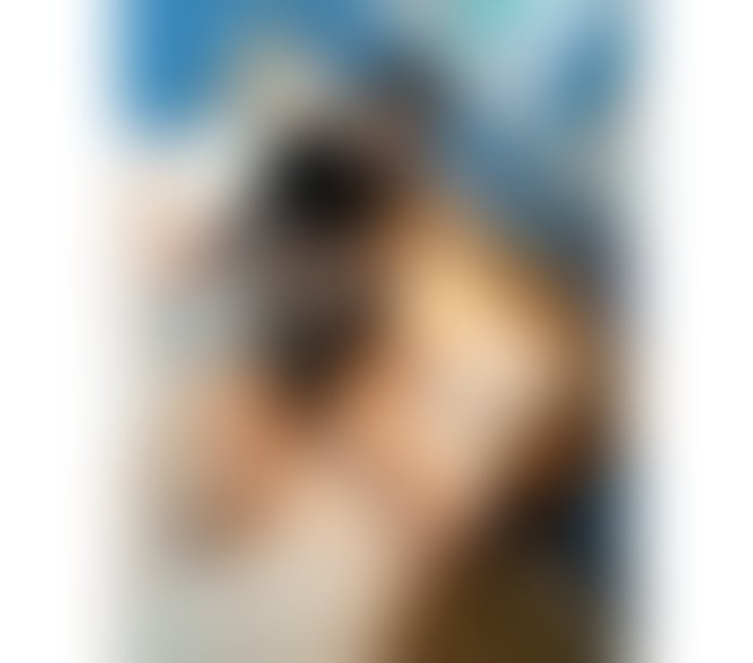 Escorts West London Hounslow - Photos for 🧕🏻Zara Muslim🍑💦 OWO,CIM,CIF Included