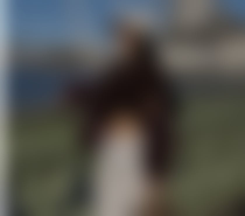 Escorts West London Paddington - West London - Photos for SOFIA EXCLUSIVE ⭐️🇧🇷