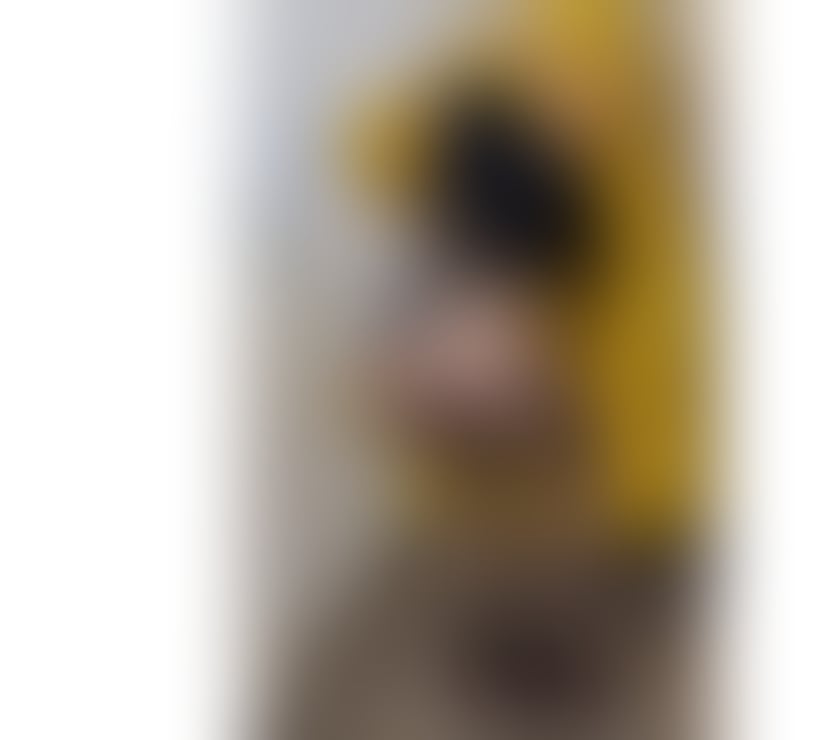 Escorts West Yorkshire Leeds - Photos for BEST SERVICE OUTCALL INCALL NO RUSH NEW IN TOWN