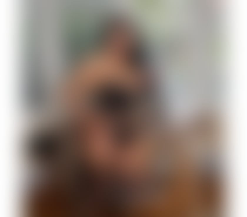 Escorts Essex Thurrock - Essex - Photos for MELISSA🔥SEXY AND HORNY GIRL💯BEST SERVICE🌐PARTY