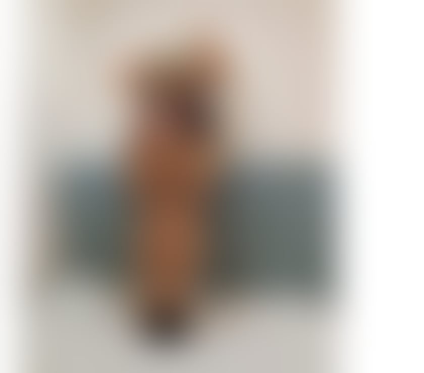  Escorts & Erotic Massage Sheffield City Centre Sheffield - Photos for POLISH BLONDE Vanessa * OWO * GFE * FRENCH KISSING *