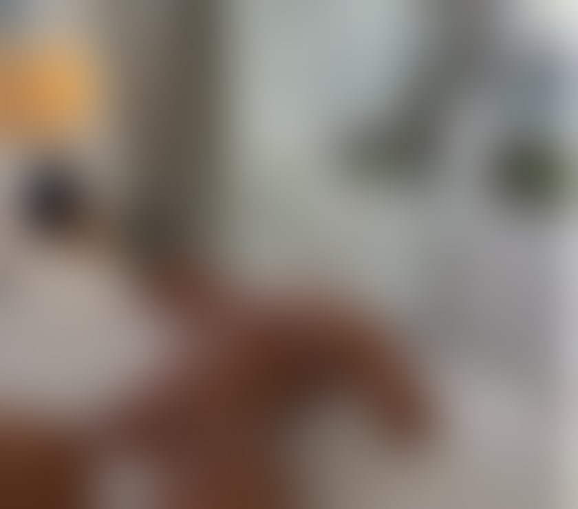 Escorts Belfast Belfast City Centre (South) - Belfast - Photos for Jasmine, a sweet and special companion.🥰❤️‍🔥