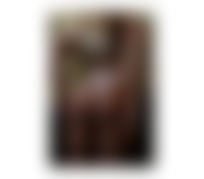 Escorts Lincolnshire Lincoln - Photos for I look forward to seeing you in my company😘🥰