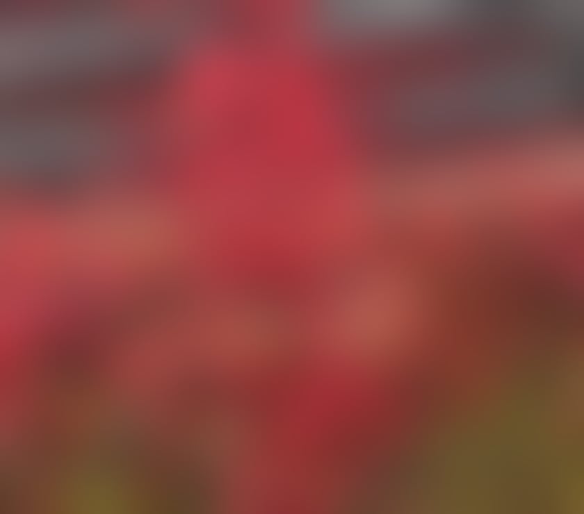 naughty dating Haggerston East London - Photos for Boy looking for women