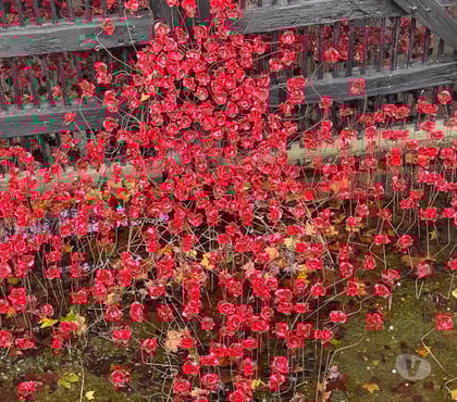 naughty dating Haggerston East London - Photos for Boy looking for women