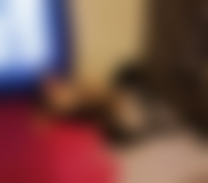 Escorts West London Hanwell - West London - Photos for Hello guys I'm OANAPARTYGIRL new in Town 💞💋