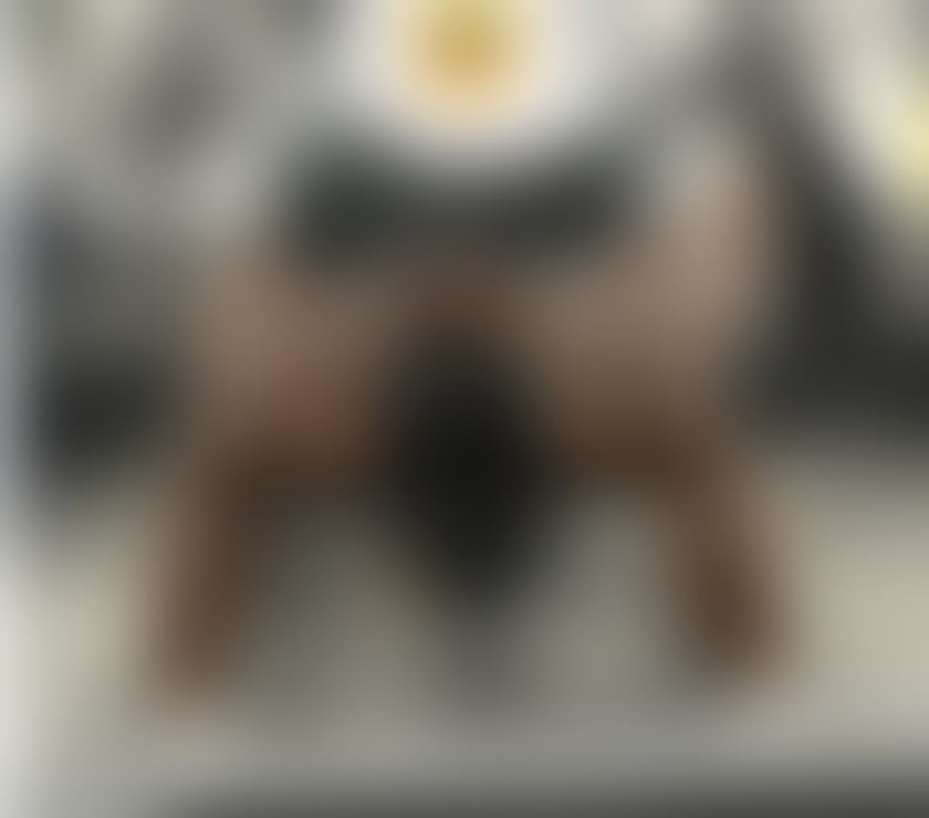 Escorts Brent North Wembley Station - Brent - Photos for Black, Tall, Charming & here to leave an impression😘