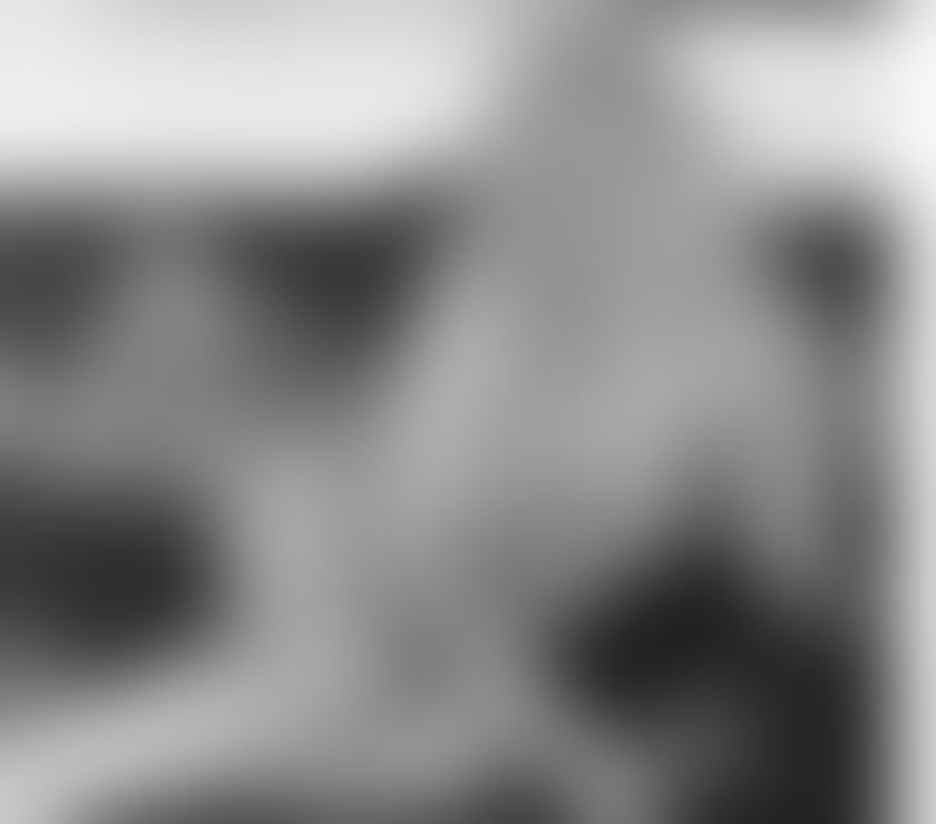 Scottish Lucy in Bristol Filton