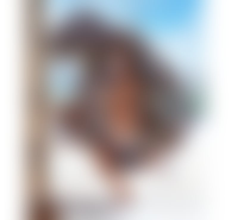 Trans Escorts County Durham Darlington - Photos for 🔥 NEW BRAZILIAN LEXA 🔥 NEW IN DARLINGTON 😈”