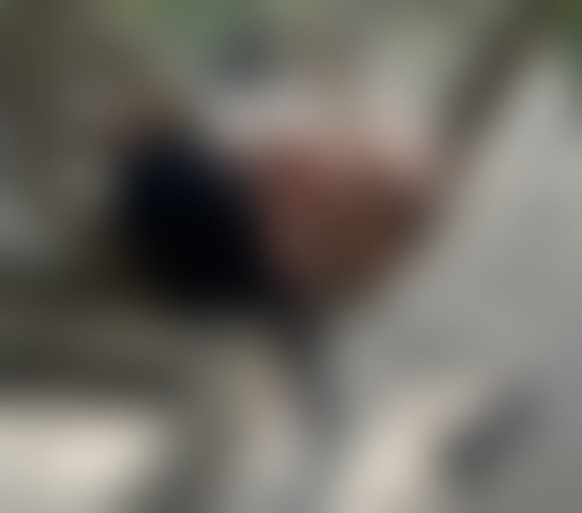 Escorts Tyne and Wear Sunderland - Photos for Beautiful brazilian💕🔥