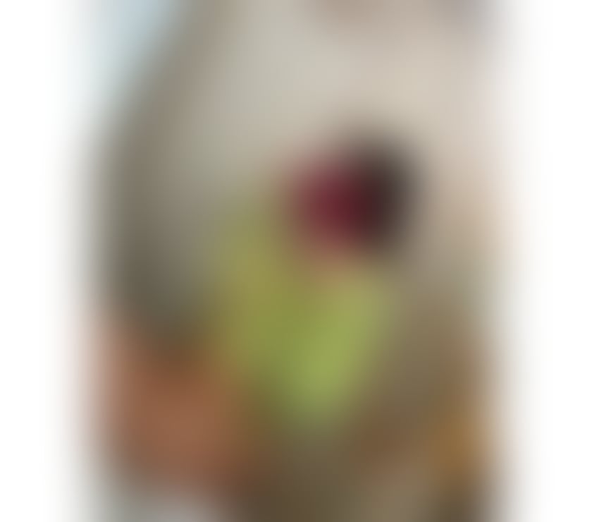 🔥NEW🔥VANESSA🔞No rush-best bj🔞REAL💯