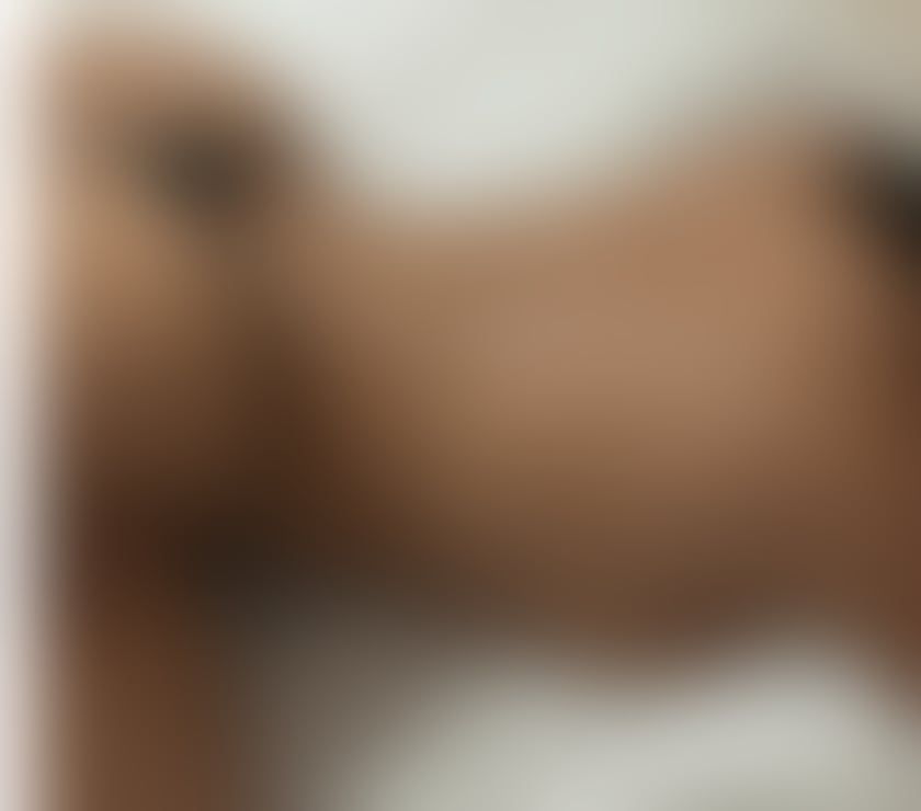 Escorts Highland Inverness - Highland - Photos for I’m BELLA… I’m Latina. Passion guaranteed.