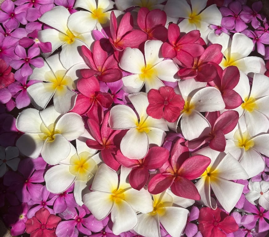 Full body massage Greater Manchester Wigan - Photos for Nanni private massage for relaxation and relieve body pain