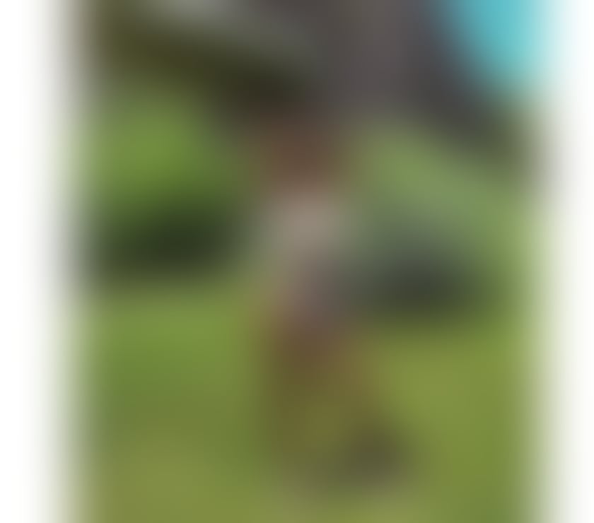 Escort Doncaster City Centre Doncaster - Photos for party girls new in town