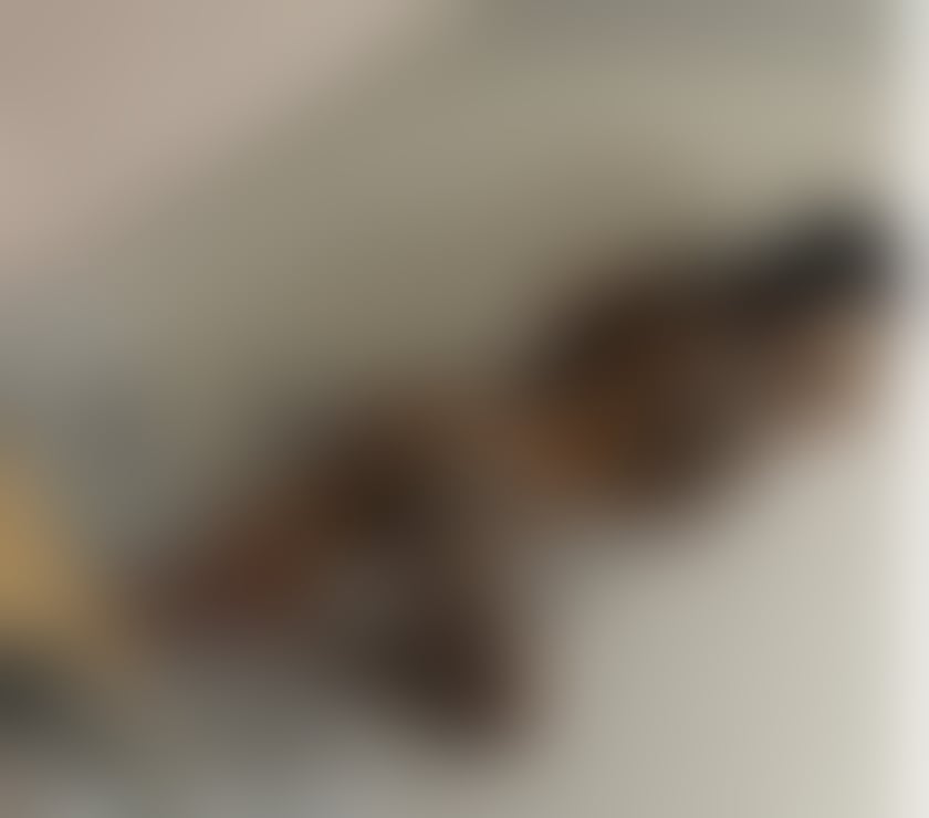 Escorts West Sussex Horsham - Photos for Iris party girl 🥂domination🔞 no rush💯‼️