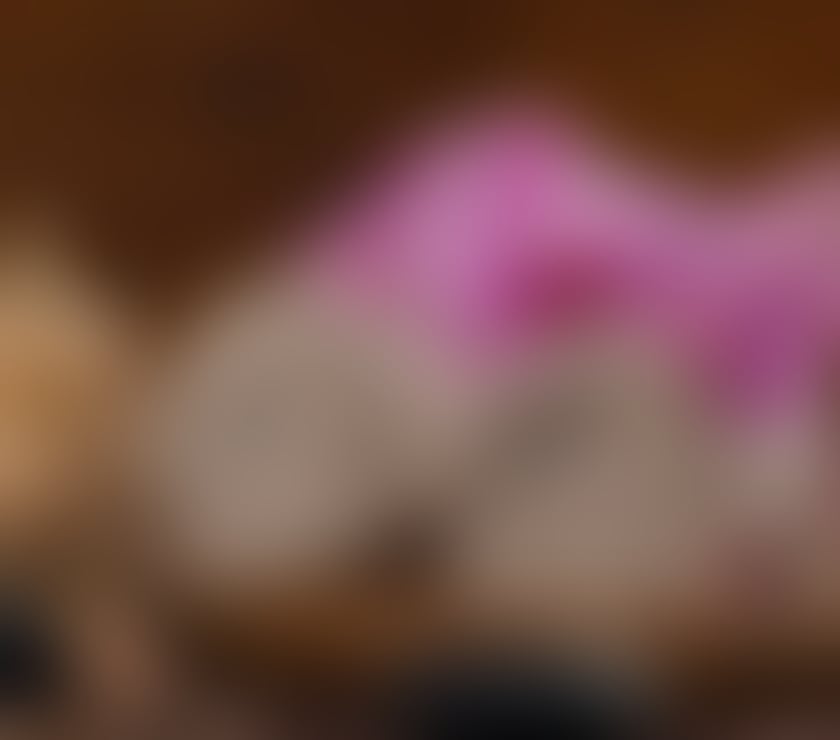 Escorts Highland Inverness - Highland - Photos for ✅CLOSE YOUR EYES TURN OFF YOU MIND