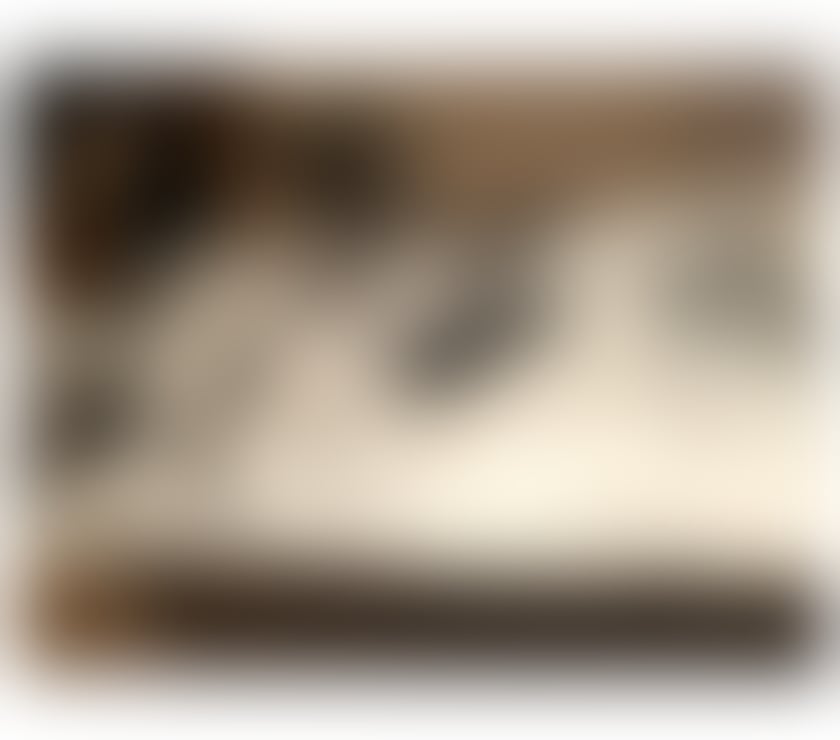 Escorts East Sussex Brighton - Photos for Naked Tantric Massage