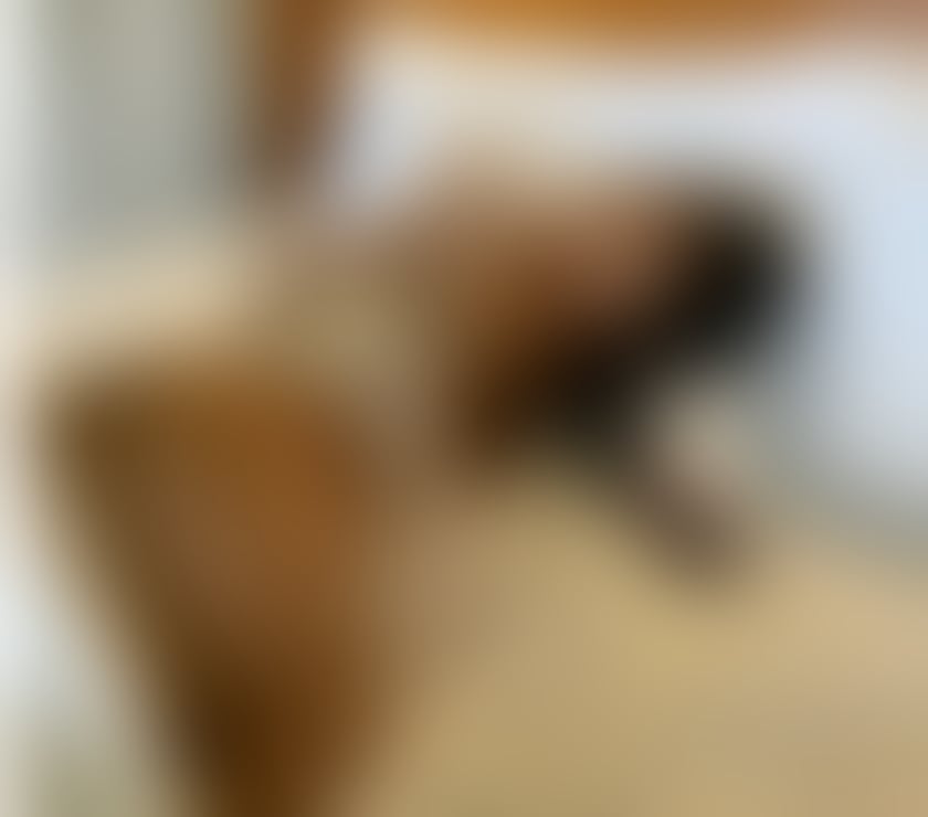 Escorts Carmarthenshire - Wales Llanelli - Carmarthenshire - Photos for ✨PREMIUM STAR 💖 SINGAPORE 🦋 QUALITY I AM NOT FAKE