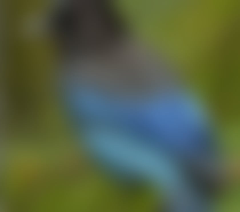 Gay Dating Hillsborough Lisburn and Castlereagh - Photos for Come play with me now and have fun.