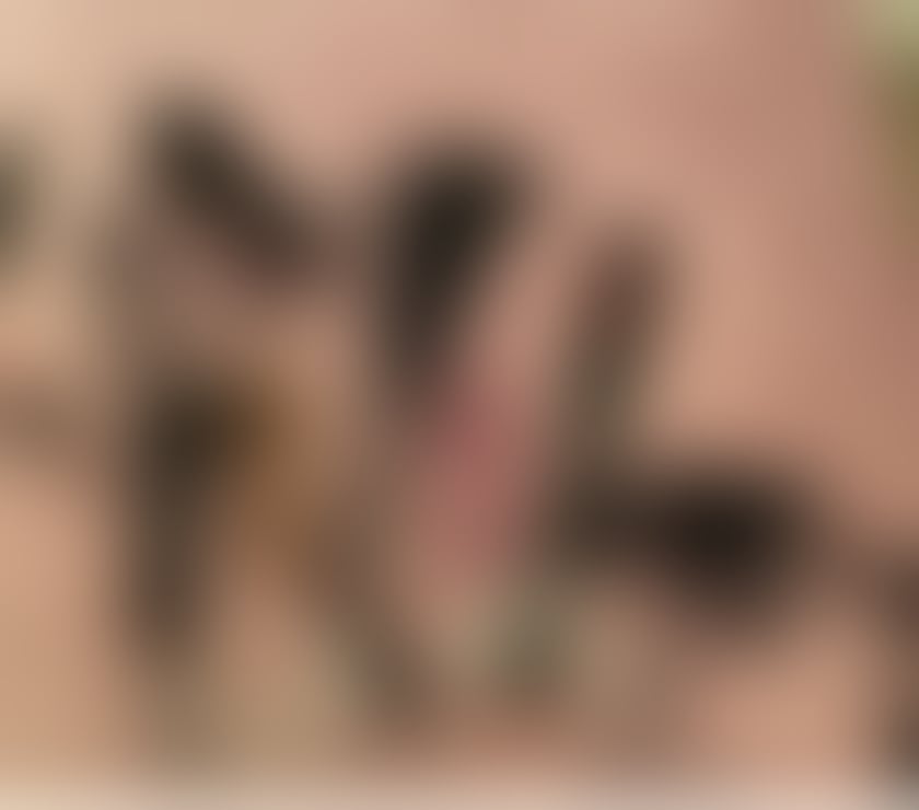 Escorts Somerset Bath and North East Somerset - Photos for MISTRESS LOUISE LUXURY DOMINATRIX ONLY FEW DAYS