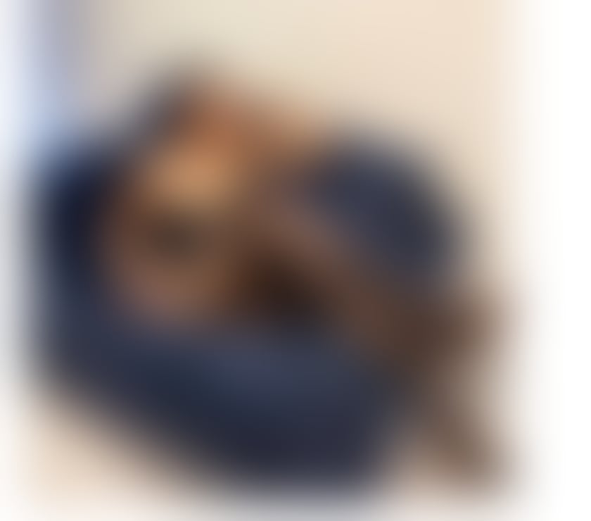 Escorts Leicestershire Leicester - Photos for Hi Guys I'm Jani Thai Escort B2B massage