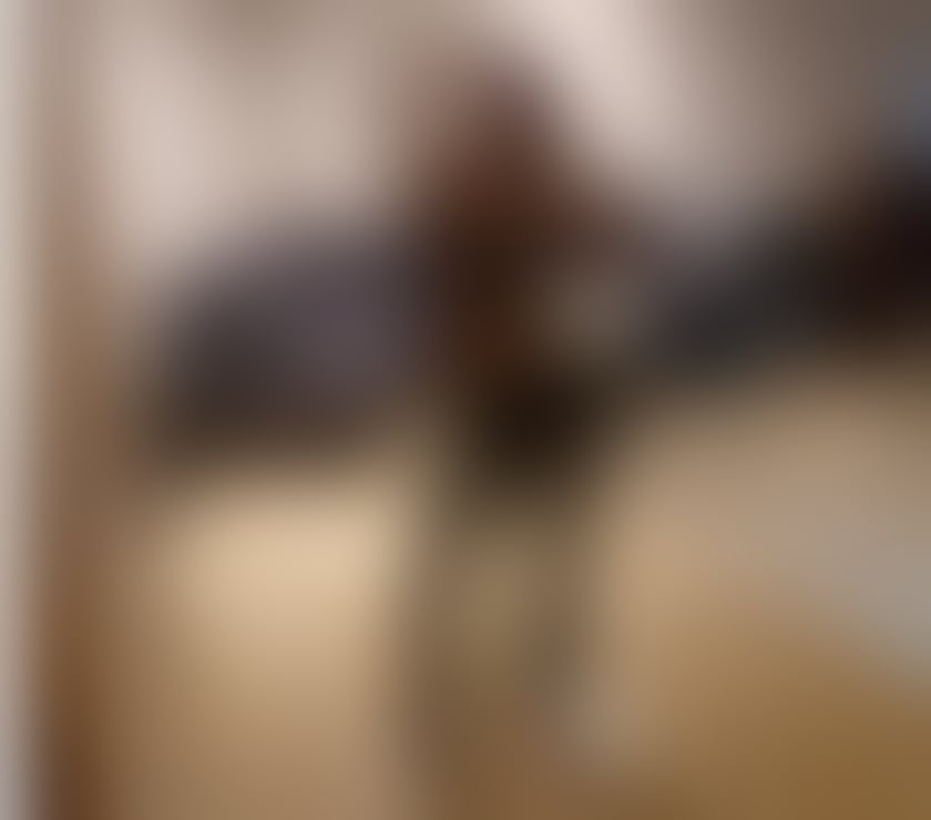 Escorts West Northamptonshire Northampton - West Northamptonshire - Photos for NEW HERE💜READY For FUN💜BEST BJ 🍭100%picture