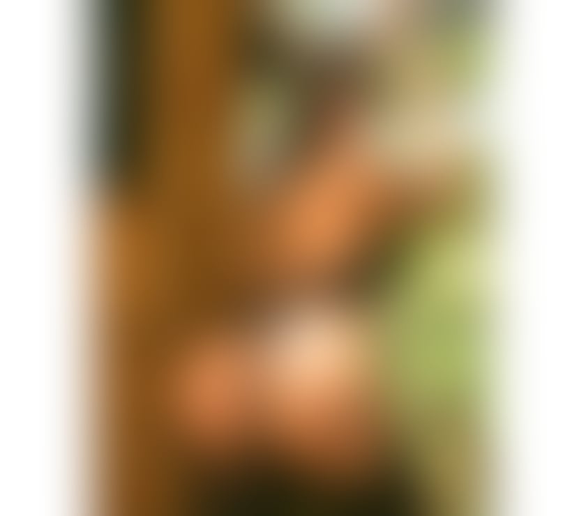 Escorts Staffordshire Newcastle-under-Lyme - Photos for Karol 💯 Real ❤️‍🔥 GFW 🫶 BEST OWO 🫦💦