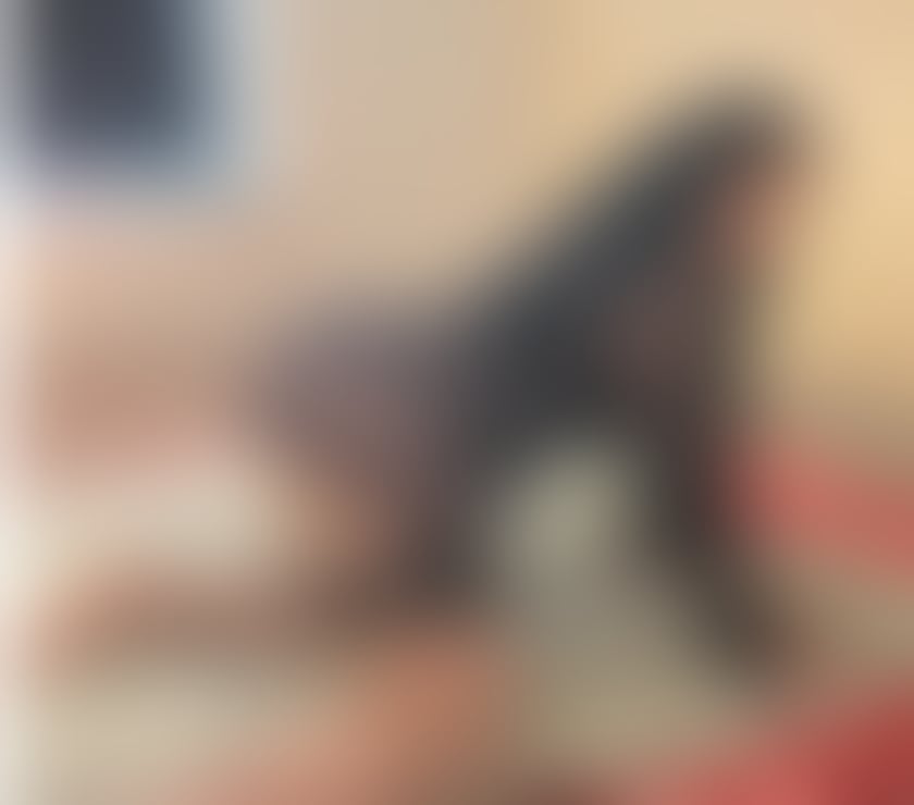 Escorts Greater Manchester Manchester - Photos for STUNNING LEBANESE❤️BEST SERVICE🔞NO RUSH✅️