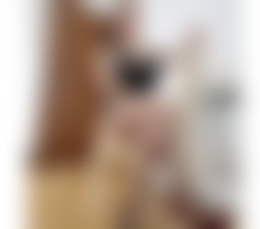 🫦thai lady big tits NADA 🫦 real 💯