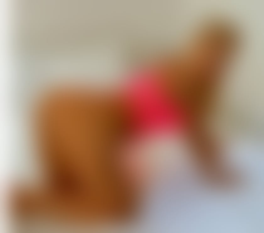 Photos for ❤ESTELLE !!INCALL OUTCALL !!❤