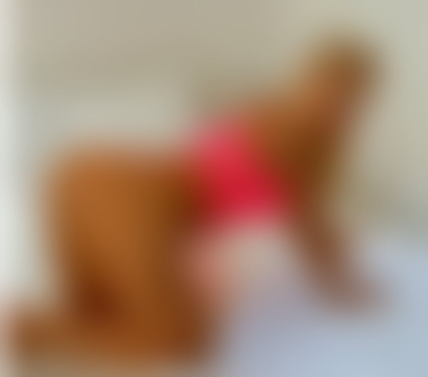 Escorts West Lothian Livingston - West Lothian - Photos for ❤ESTELLE !!INCALL OUTCALL !!❤