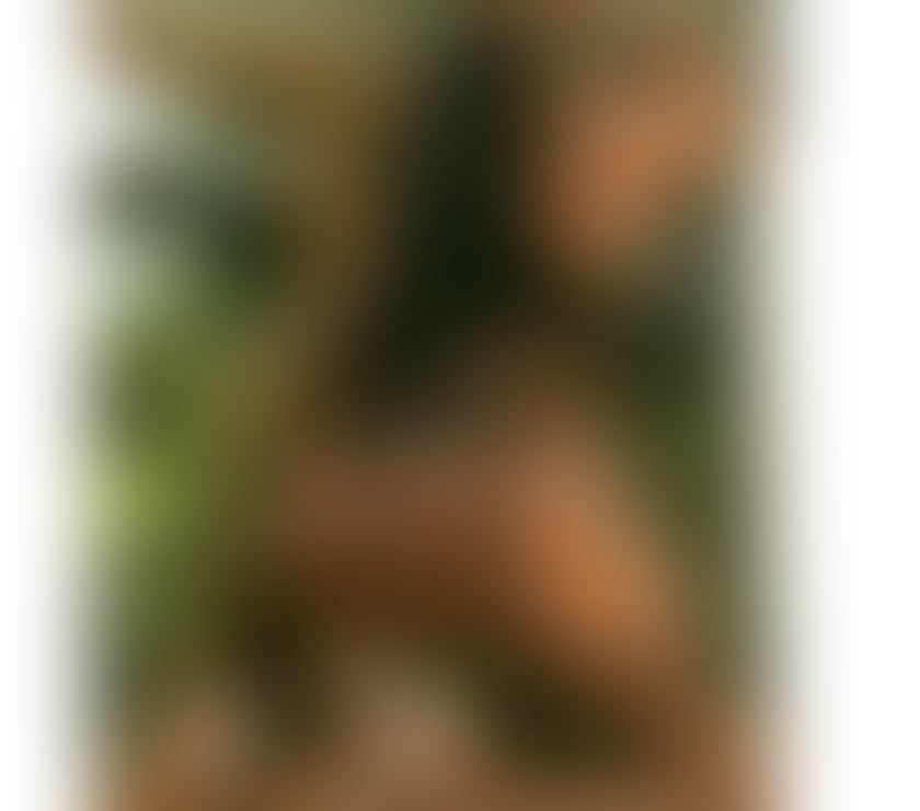 Escorts Staffordshire Newcastle-under-Lyme - Photos for Mellissa 🇧🇷 best OWO🔥 💯 Real!✨kisses