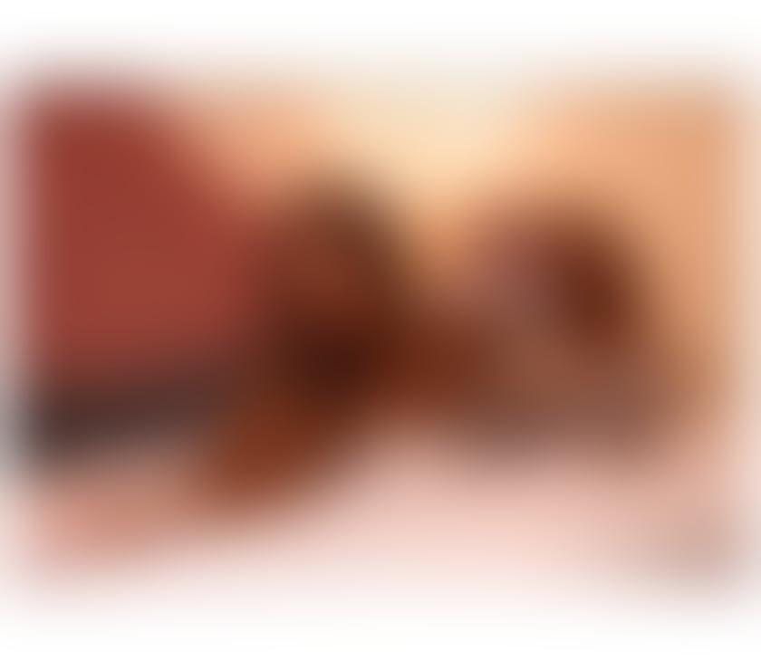 Escorts Hertfordshire Dacorum - Photos for New in town with sexy girl