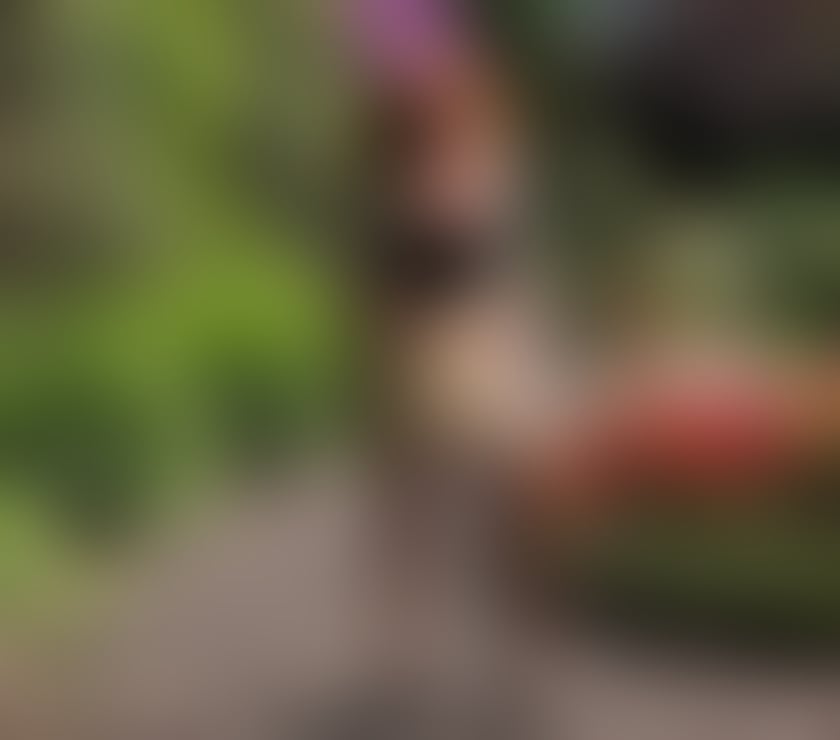 Escorts Devon Exeter - Photos for EVE SEXY DOMINATRIX, SECRETARY PARTY🇪🇸🍾🌹