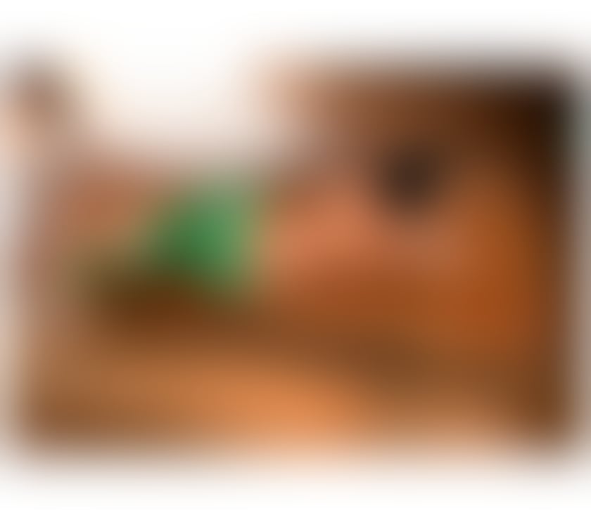 Escorts Gloucestershire Cheltenham - Photos for NATALIA MILLANO 🔥🇧🇷 PARTY GIRL