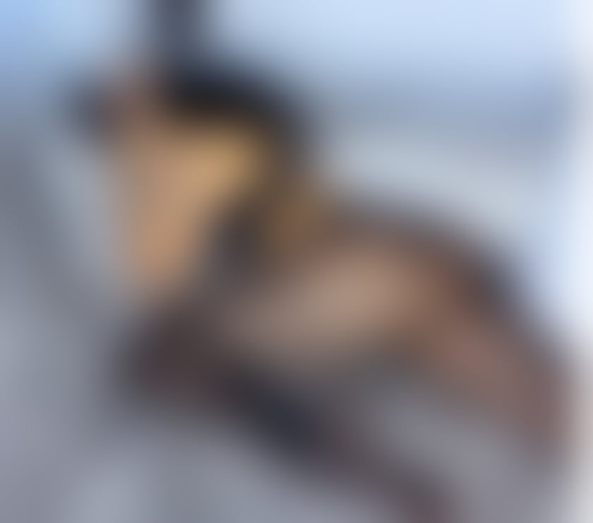 Escorts Hertfordshire Welwyn Hatfield - Photos for STELLA💥 💯 GENUINE 🌸🌺NEW in your city!🍾🥂