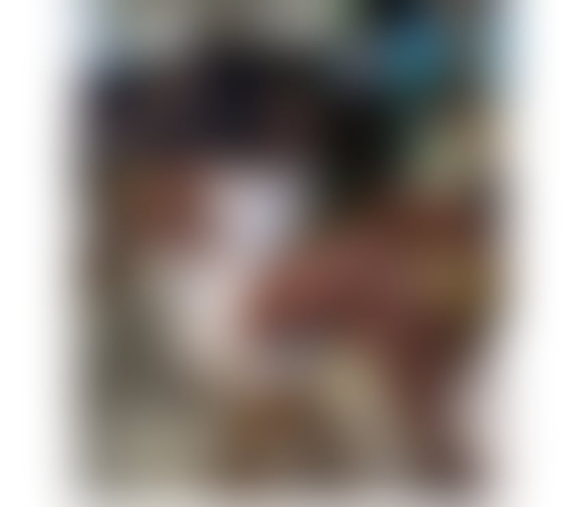 🔥FIRST TIME ON YOUR CITY 💛BEST OWO🔝PARTY