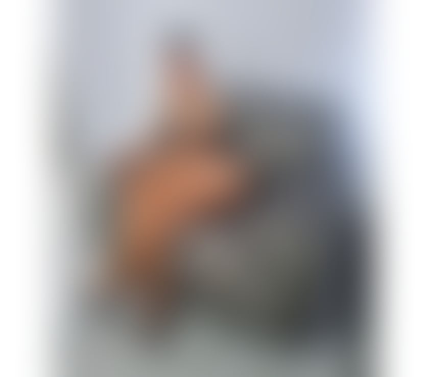 Escorts Hampshire Basingstoke and Deane - Photos for Lovely brunette Alexxia 100% real ❤️