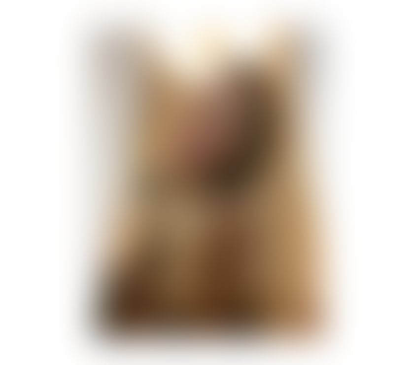 Escorts Essex Chelmsford - Photos for Adela 100% real ❤️ petite 💞