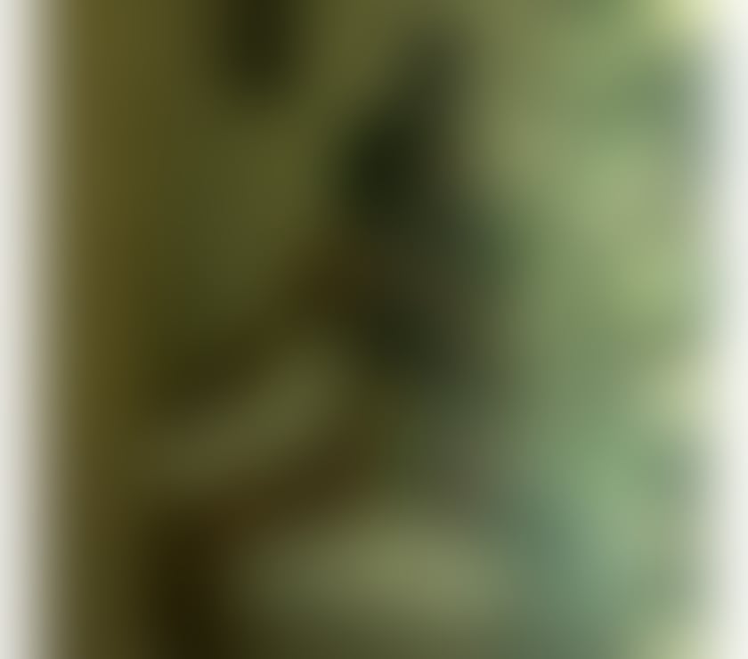 Escorts Bedfordshire Bedford - Photos for OPEN 24hr 🔥TRANS❤ MASSAGE🔥candela Open party 24h