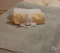 Deep tissue Swedish full body