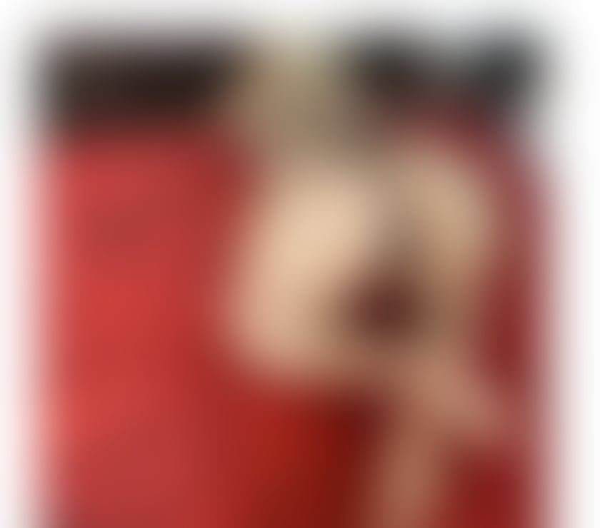 Escorts Gwynedd Bangor - Gwynedd - Photos for KARINA INCALL AND OUTCALL 😘☎️😘☎️