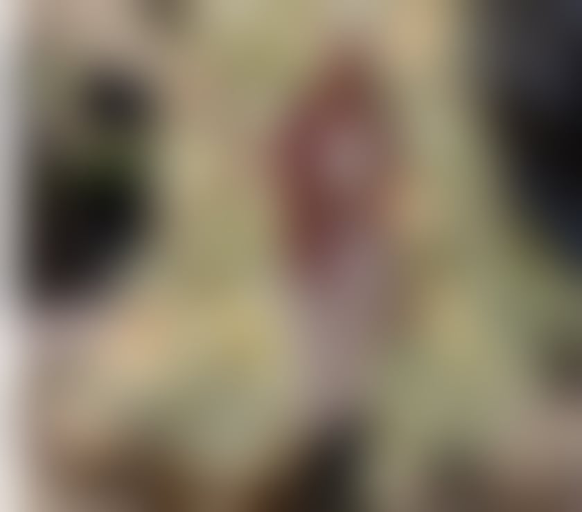 Escorts Greater Manchester Salford - Photos for 😍New to beautiful Asian girl Salford😘😘