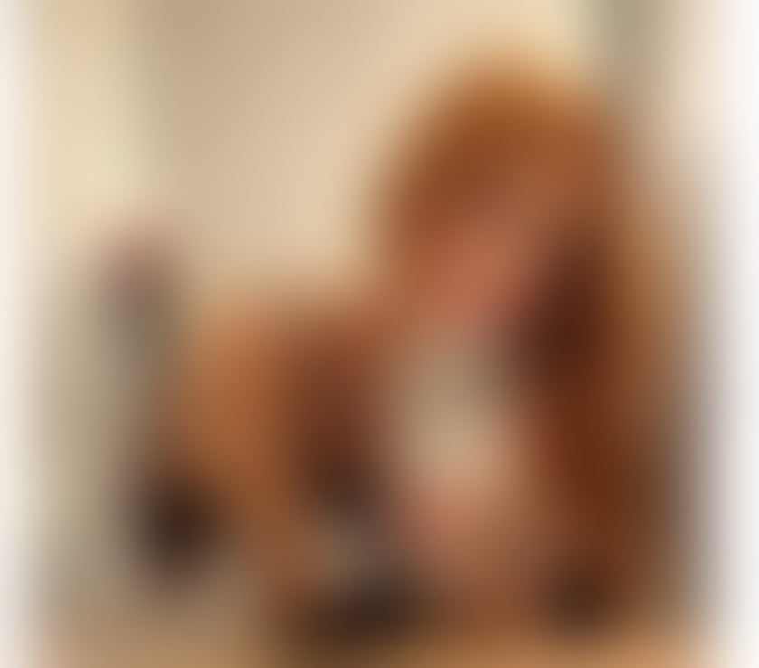 Escorts Devon Plymouth - Photos for ✨ ISA BRAZILIAN 🇧🇷🔥TRANS 🏳️‍⚧️🍆