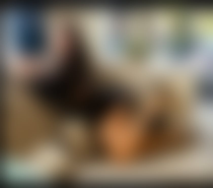 Escorts Barking and Dagenham Barking - Barking and Dagenham - Photos for NEW PARTY GIRL IN YOUR TOWN CRIS