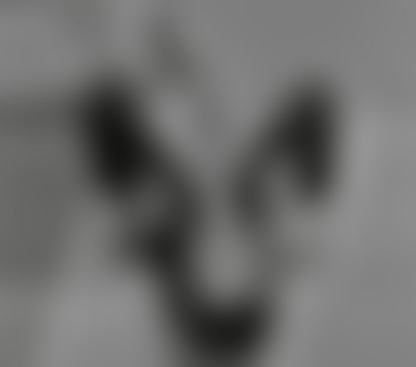 Escorts Bristol Bristol City Centre - Bristol - Photos for Miss Madison 👠 British Dominatrix 👠 Sensual & Sadistic