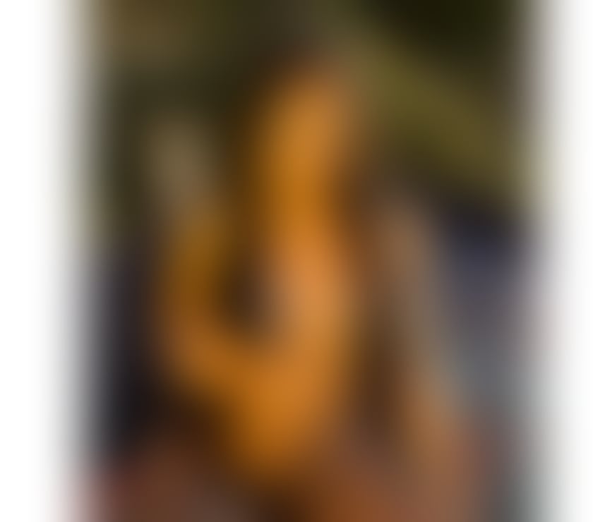 Escorts Hampshire Southampton - Photos for MELISSA BRAZILIAN 🌶️